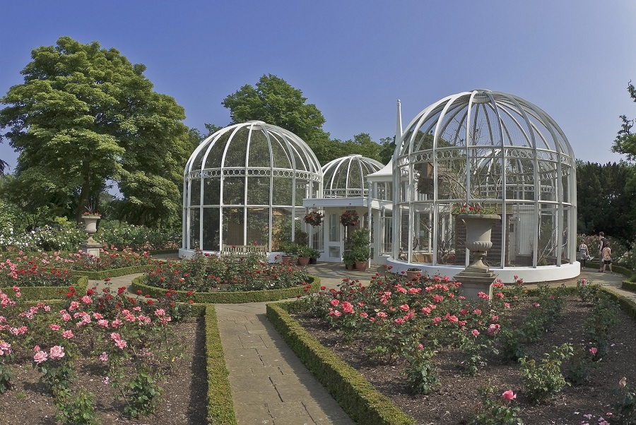 Pink flowers bloom in Birmingham’s Botanic Garden, a great free activity in Birmingham.