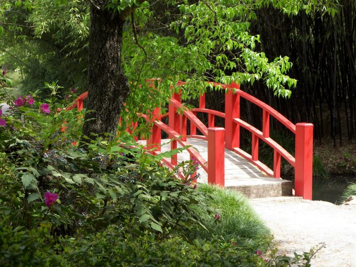 Japanese bridge at Birmingham Botanical Gardens