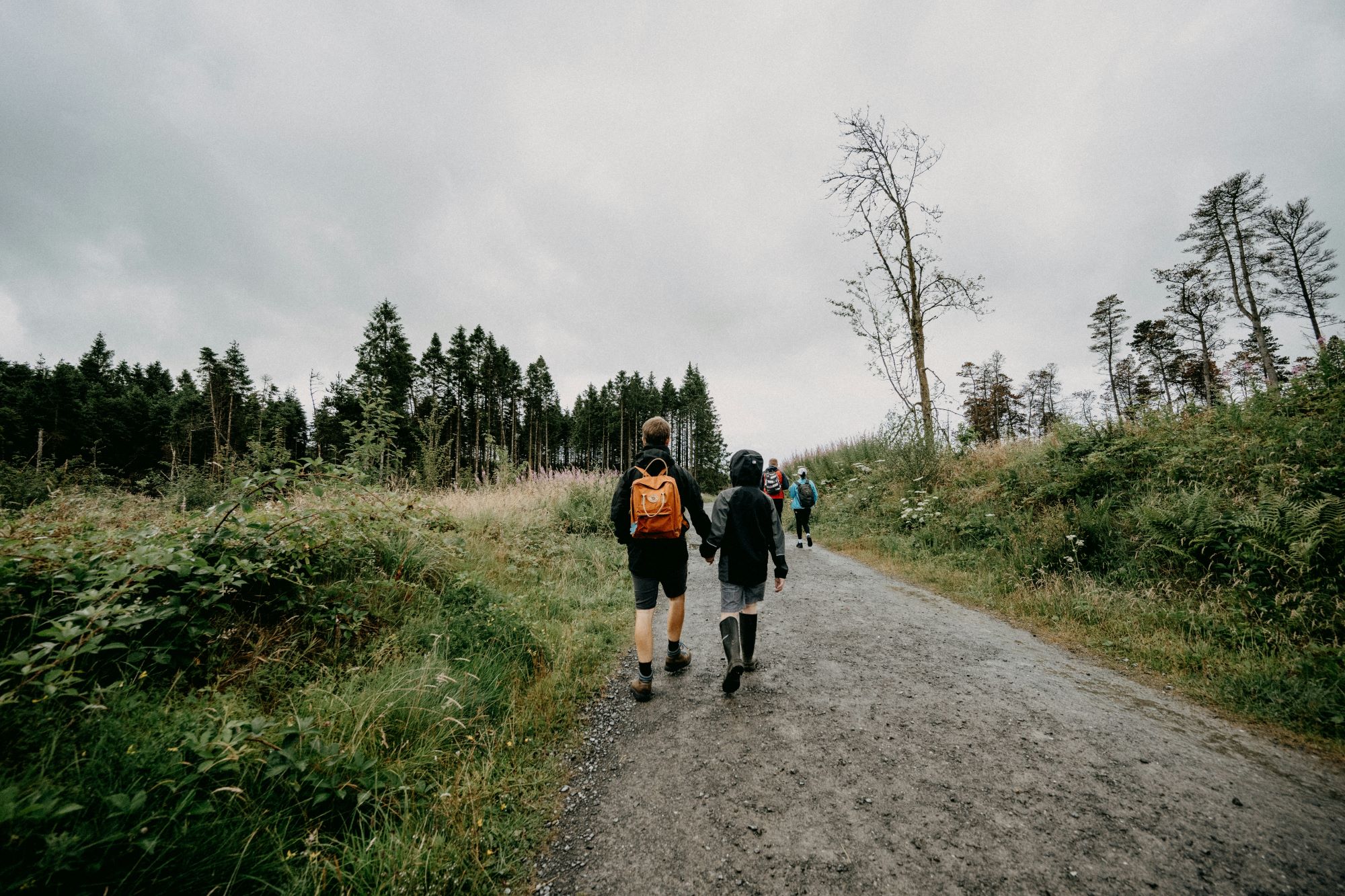 Brecon Hike Annie Spratt