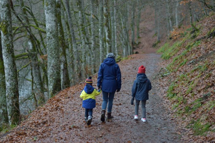 A family of three on a walk in a forest