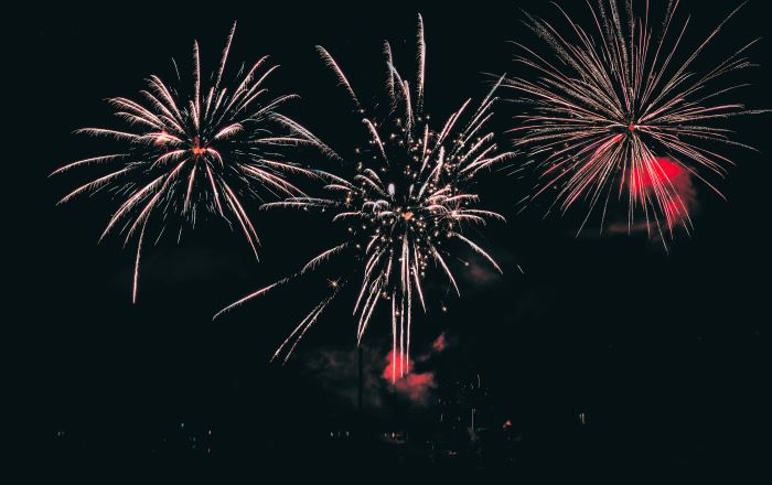Large, brightly coloured fireworks in the night sky.