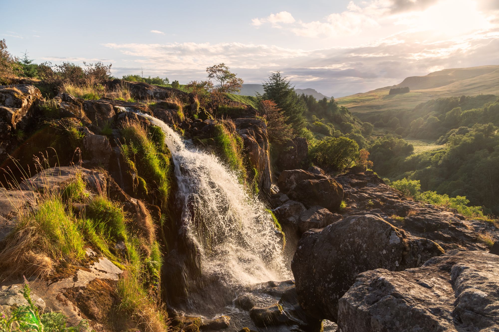 Loup Of Fintry Derek Souter