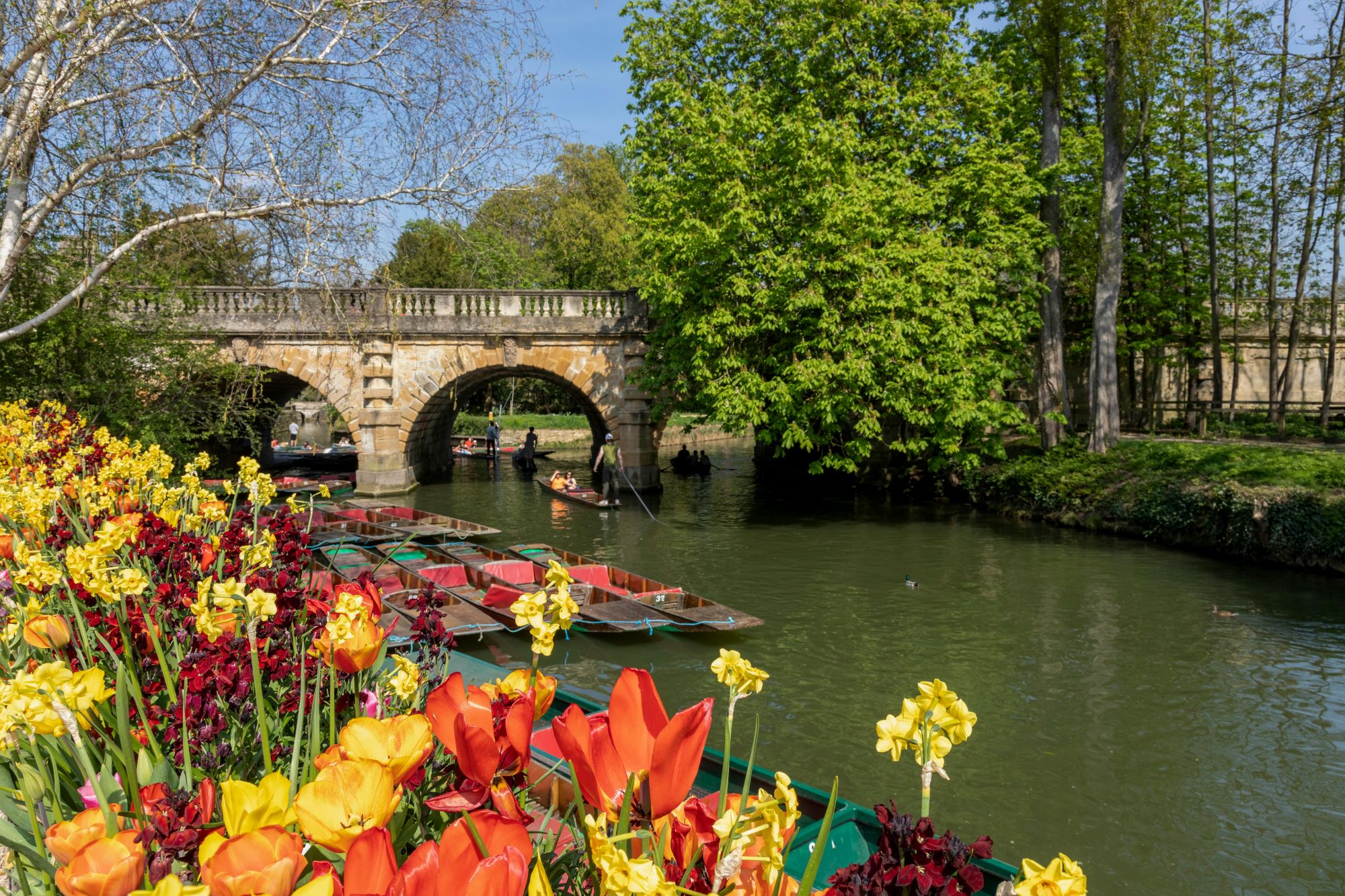 Oxford Canal Bob Jenkin