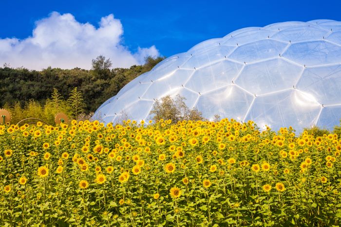 Eden Project biome
