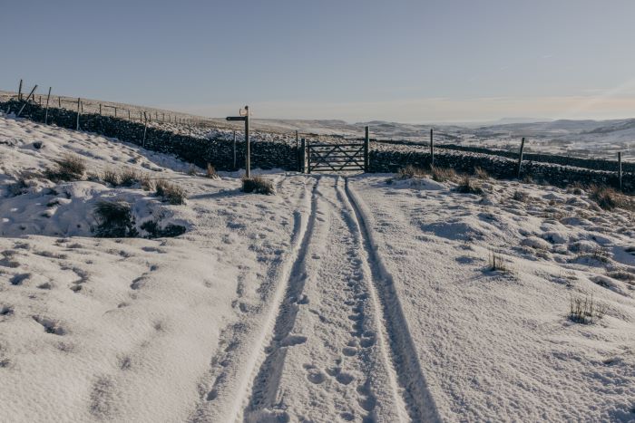 A snowy field with tracks leading up to a gate