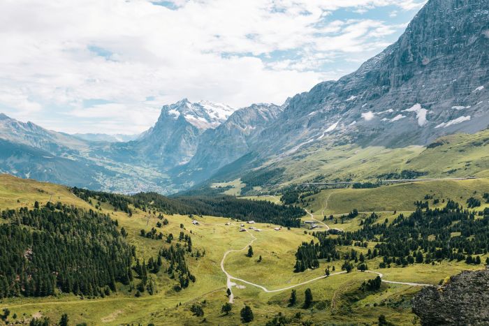 The Swiss Alps, a mountainous range with trees.