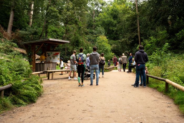 Visitors at Trentham Monkey Forest.