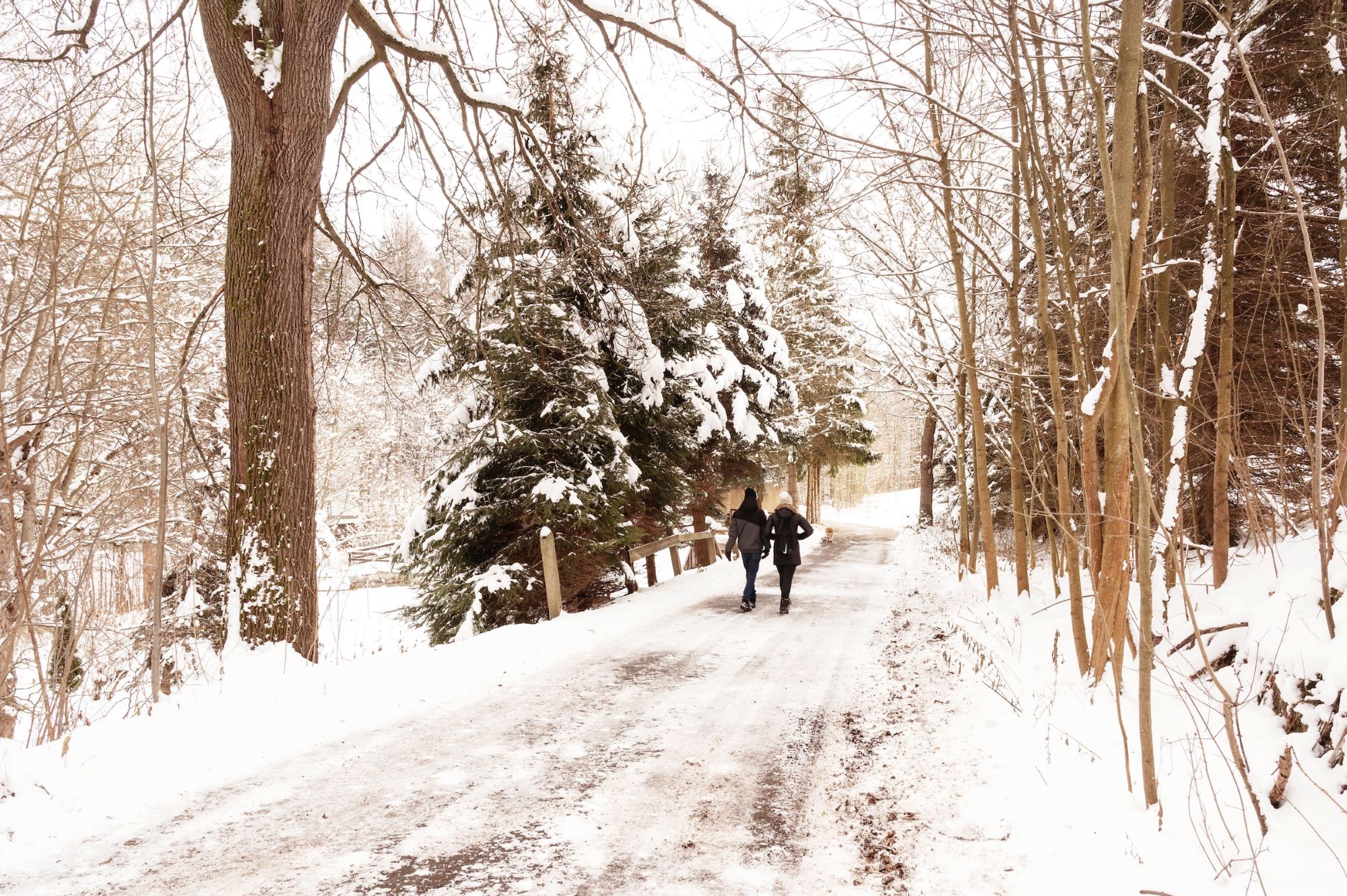 Winter-Walk-Elke-Karin-Lugert-2000