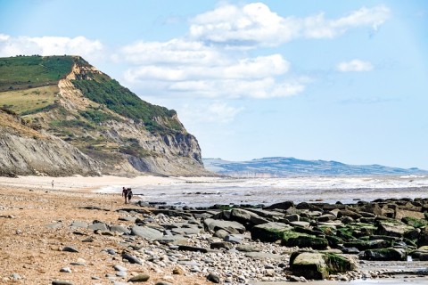 charmouth