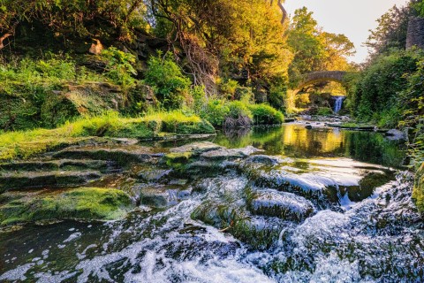 Jesmond Dene Marco Angelo