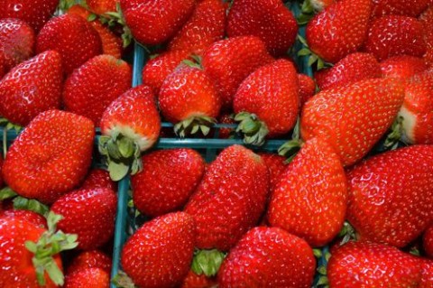 Strawberry Pile Tyke Jones